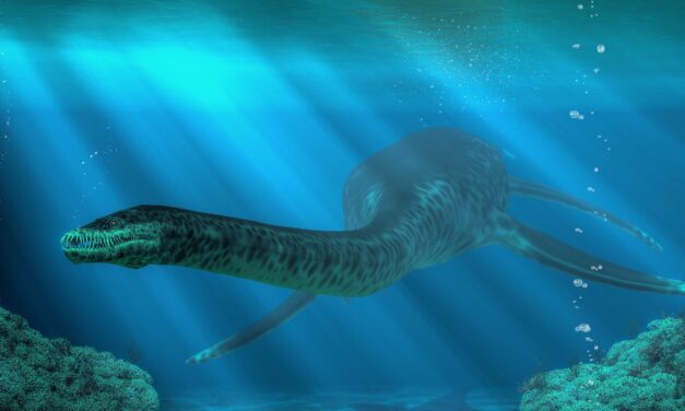 Plesiosaurs vomited indigestible pellets like owls