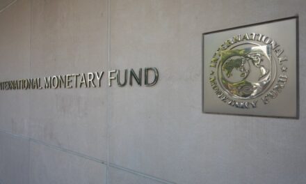 IMF Report Details Why Tokenized Finance Is Struggling to Scale