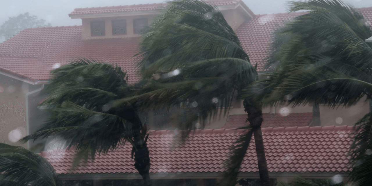 Wavy-shaped homes could limit damage from hurricane winds