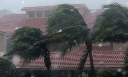 Wavy-shaped homes could limit damage from hurricane winds