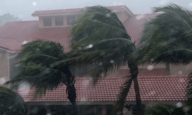 Wavy-shaped homes could limit damage from hurricane winds