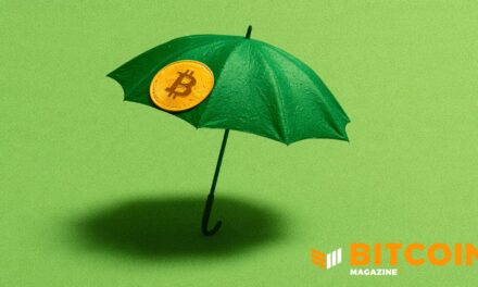 Bitcoin Life Insurer Meanwhile Raises $37.5M as Wealthy Families Look to Pass On Their BTC