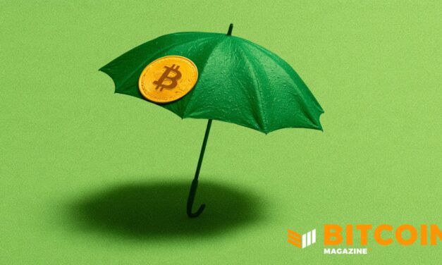 Bitcoin Life Insurer Meanwhile Raises $37.5M as Wealthy Families Look to Pass On Their BTC