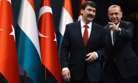 Turkey’s social media ban for under-15s starts on 1 November