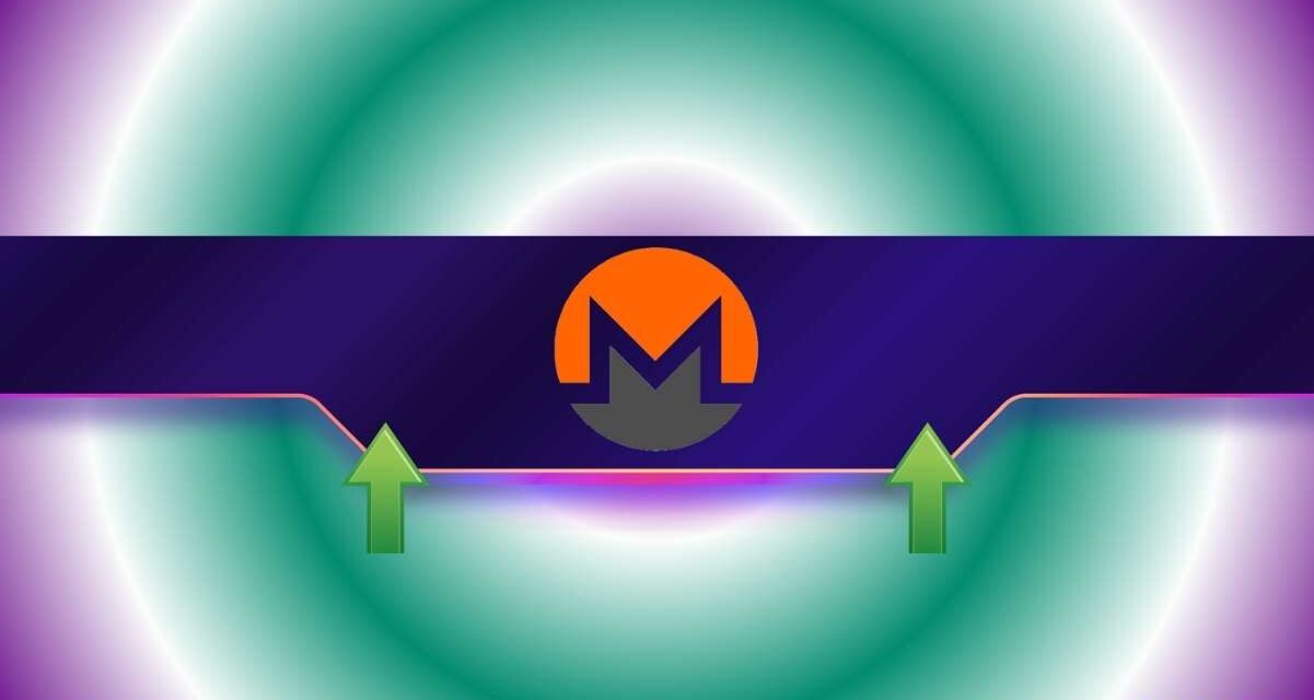 Monero (XMR) Soars 20% Weekly: Can It Repeat ZEC’s Explosion?