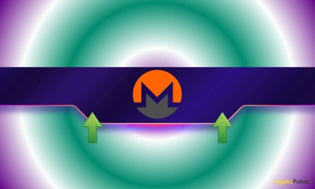 Monero (XMR) Soars 20% Weekly: Can It Repeat ZEC’s Explosion?